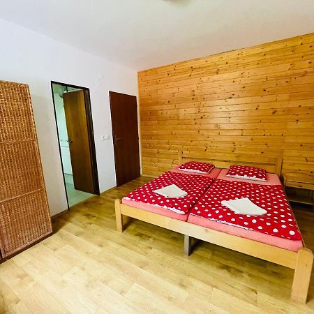 Penzion Horal Hotel Dolni Morava Exterior photo