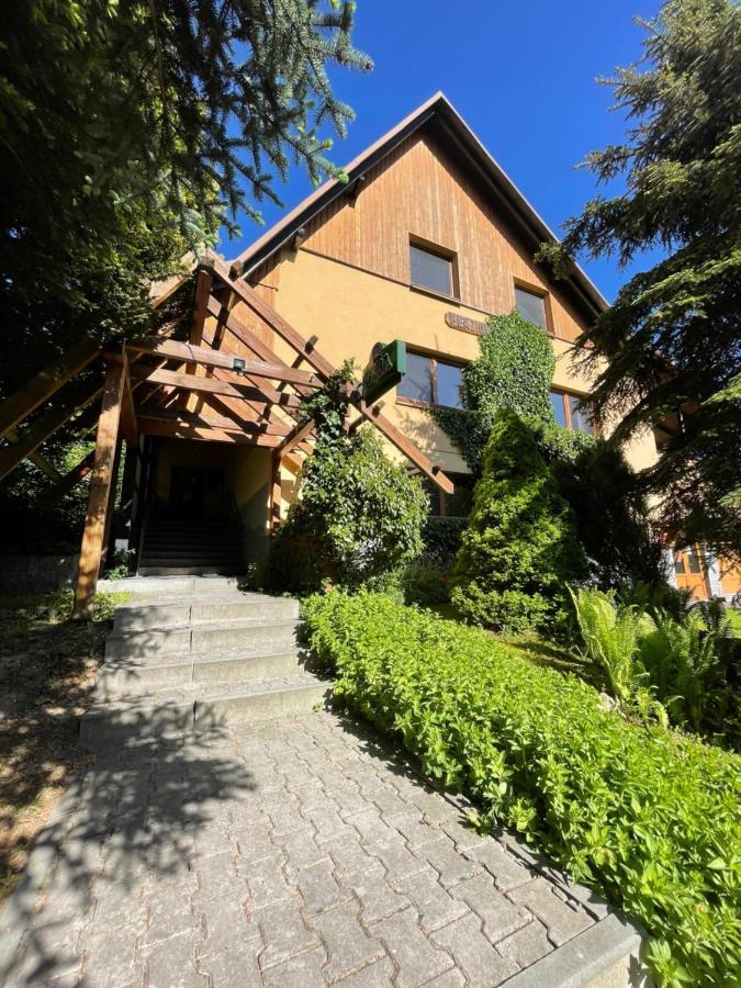 Penzion Horal Hotel Dolni Morava Exterior photo